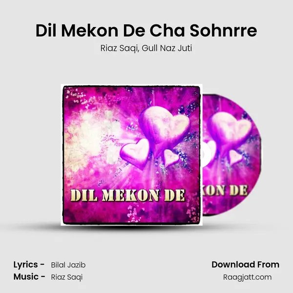 Dil Mekon De Cha Sohnrre mp3 song