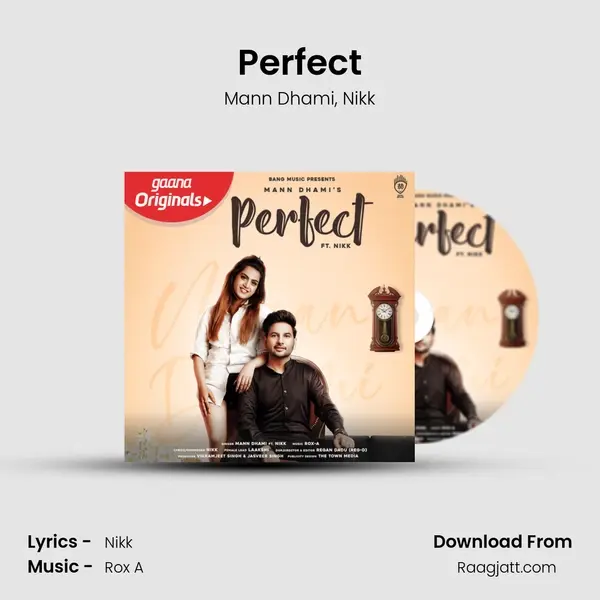 Perfect - Mann Dhami album cover 