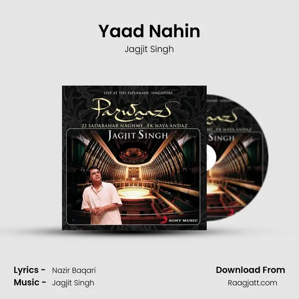 Yaad Nahin - Jagjit Singh album cover 