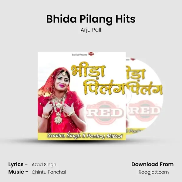 Bhida Pilang Hits - Arju Pall album cover 