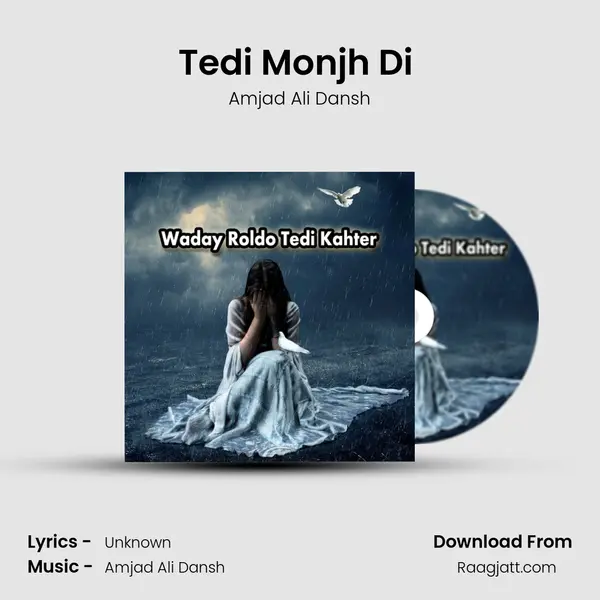 Tedi Monjh Di (Dohry Hi Dohry) - Amjad Ali Dansh album cover 