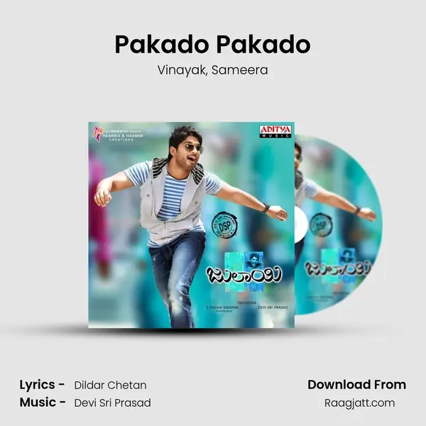 Pakado Pakado - Vinayak album cover 