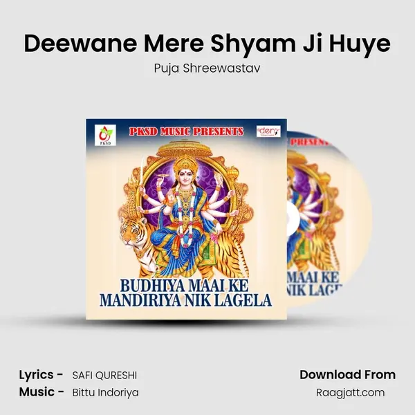 Deewane Mere Shyam Ji Huye mp3 song