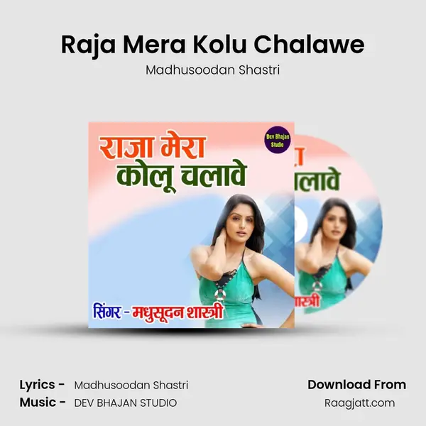 Raja Mera Kolu Chalawe - Madhusoodan Shastri album cover 