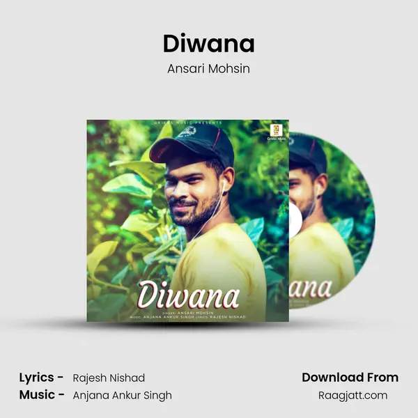 Diwana - Ansari Mohsin album cover 