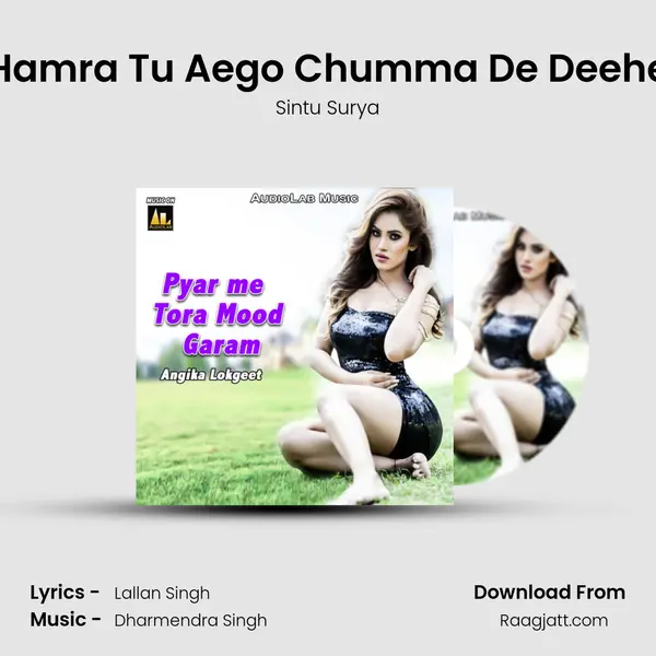 Hamra Tu Aego Chumma De Deehe - Sintu Surya album cover 