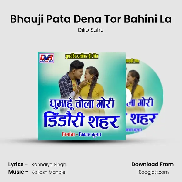 Bhauji Pata Dena Tor Bahini La - Dilip Sahu album cover 