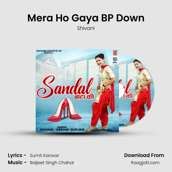 Mera Ho Gaya BP Down - Shivani album cover 