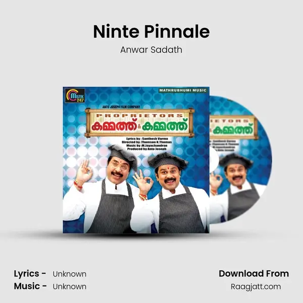 Ninte Pinnale mp3 song