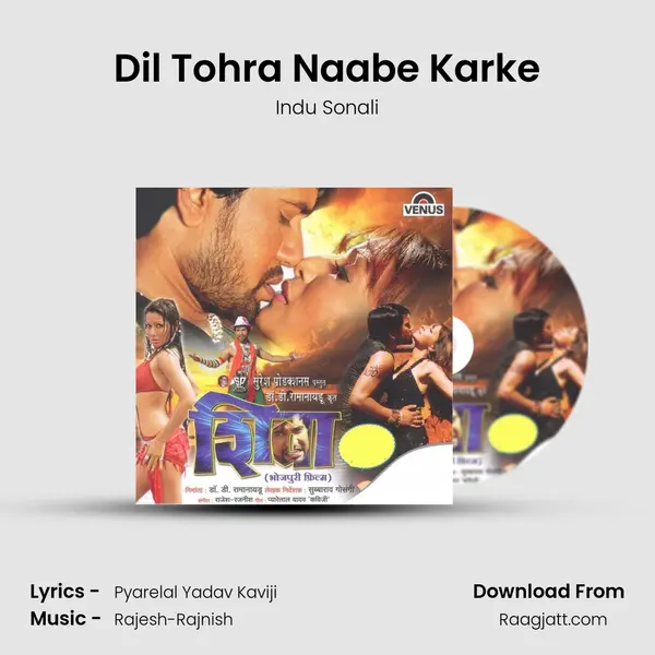 Dil Tohra Naabe Karke - Indu Sonali album cover 