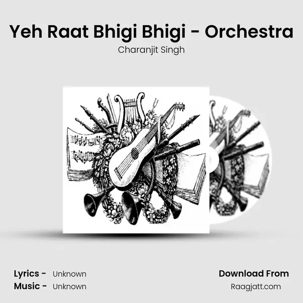 Yeh Raat Bhigi Bhigi - Orchestra - Charanjit Singh album cover 