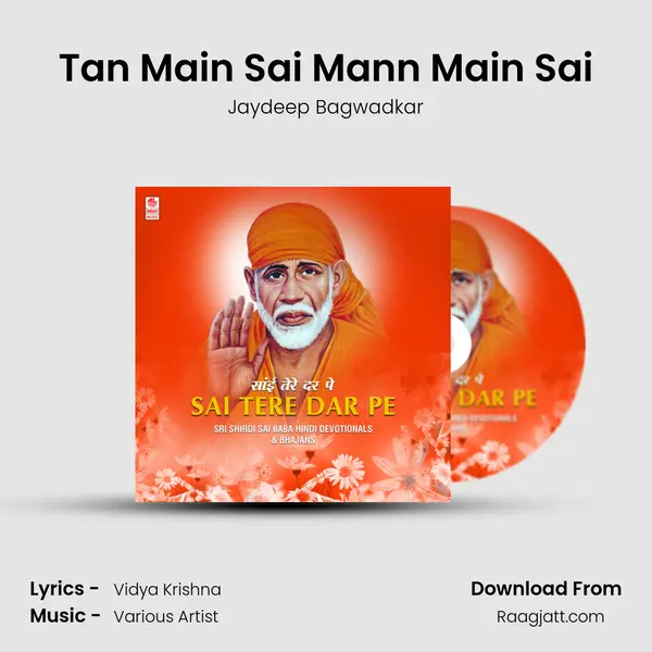 Tan Main Sai Mann Main Sai - Jaydeep Bagwadkar album cover 