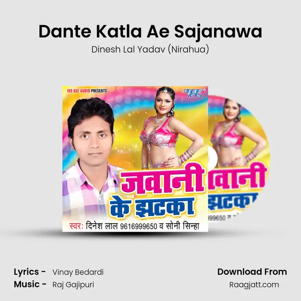 Dante Katla Ae Sajanawa - Dinesh Lal Yadav (Nirahua) album cover 