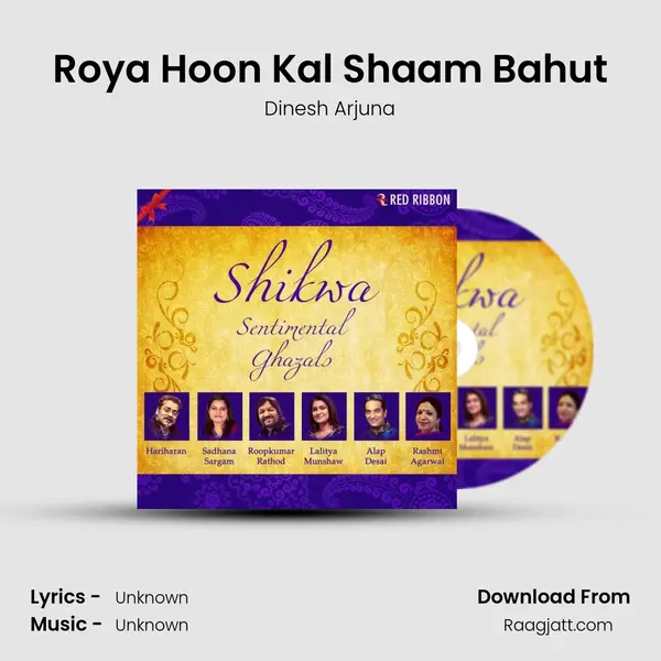 Roya Hoon Kal Shaam Bahut mp3 song