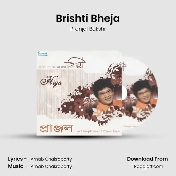 Brishti Bheja - Pranjal Bakshi album cover 