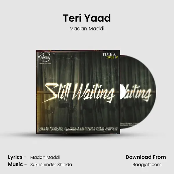 Teri Yaad - Madan Maddi album cover 