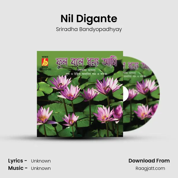 Nil Digante - Sriradha Bandyopadhyay album cover 