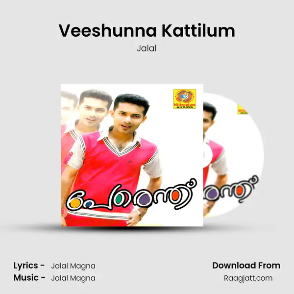 Veeshunna Kattilum - Jalal album cover 