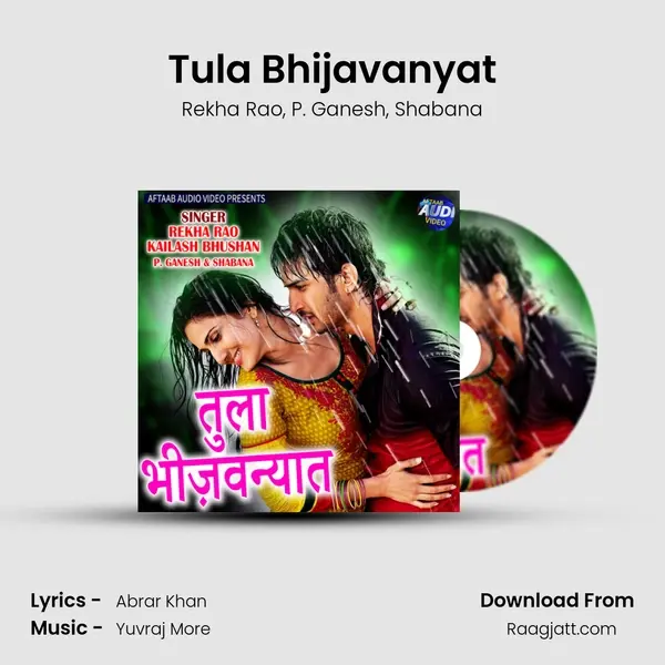 Tula Bhijavanyat - Rekha Rao album cover 