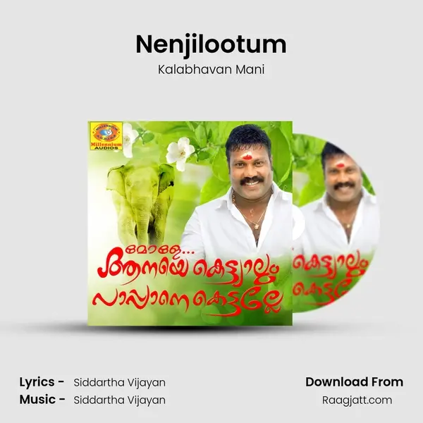 Nenjilootum mp3 song