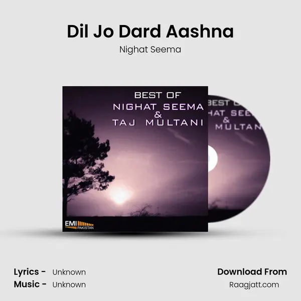 Dil Jo Dard Aashna mp3 song