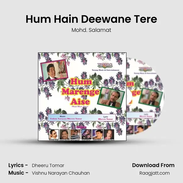 Hum Hain Deewane Tere mp3 song