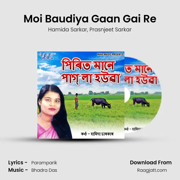 Moi Baudiya Gaan Gai Re mp3 song