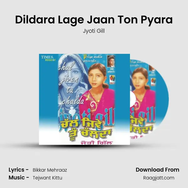 Dildara Lage Jaan Ton Pyara mp3 song