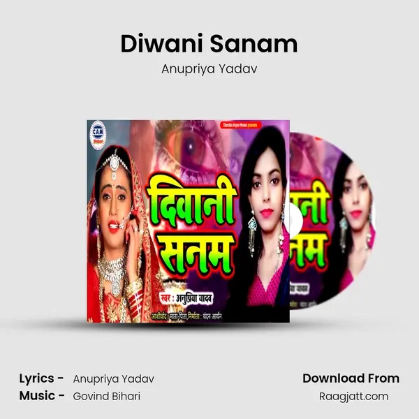 Diwani Sanam - Anupriya Yadav album cover 