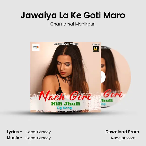 Jawaiya La Ke Goti Maro - Chamarsai Manikpuri album cover 