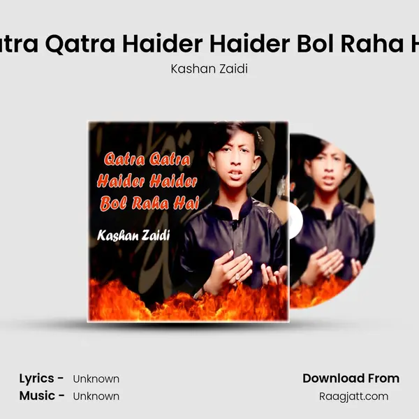 Qatra Qatra Haider Haider Bol Raha Hai - Kashan Zaidi album cover 