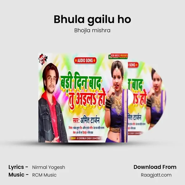 Bhula gailu ho - Bhojla mishra album cover 