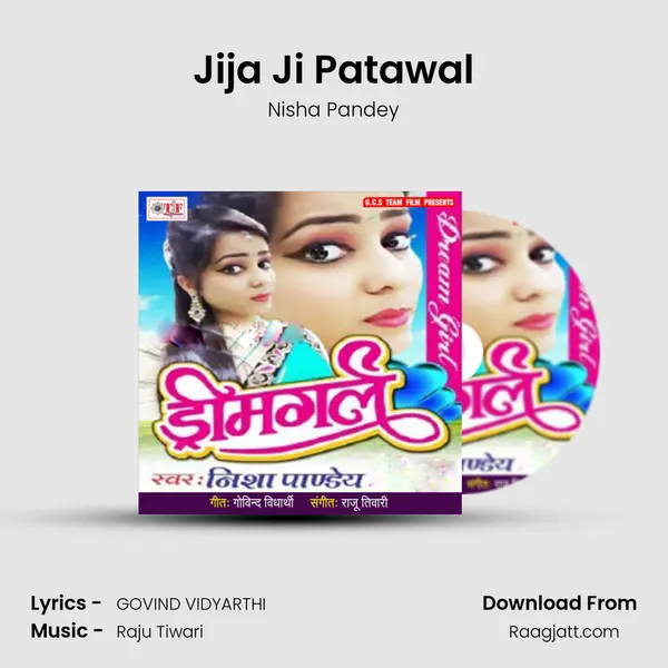 Jija Ji Patawal - Nisha Pandey album cover 