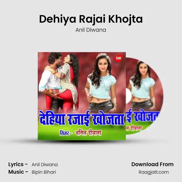 Dehiya Rajai Khojta - Anil Diwana album cover 