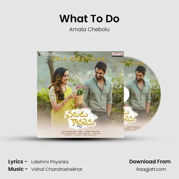 What To Do - Amala Chebolu album cover 