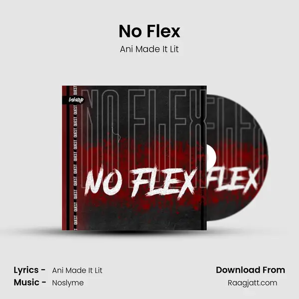 No Flex - Ani Made It Lit album cover 