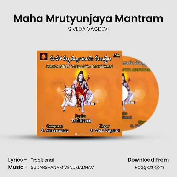 Maha Mrutyunjaya Mantram - S VEDA VAGDEVI album cover 