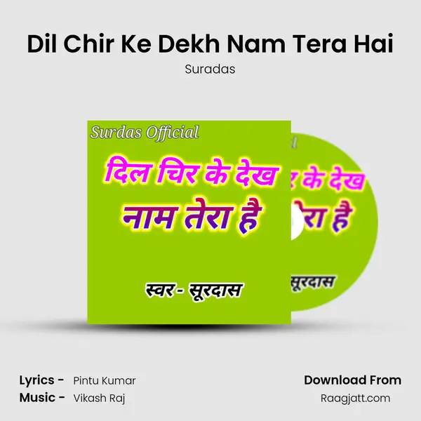 Dil Chir Ke Dekh Nam Tera Hai mp3 song