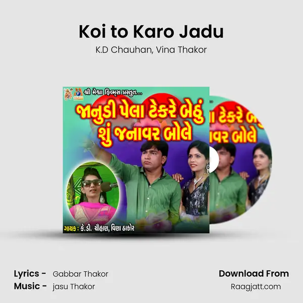 Koi to Karo Jadu - K.D Chauhan album cover 