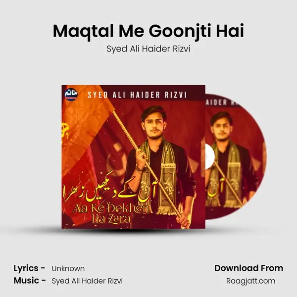 Maqtal Me Goonjti Hai - Syed Ali Haider Rizvi album cover 