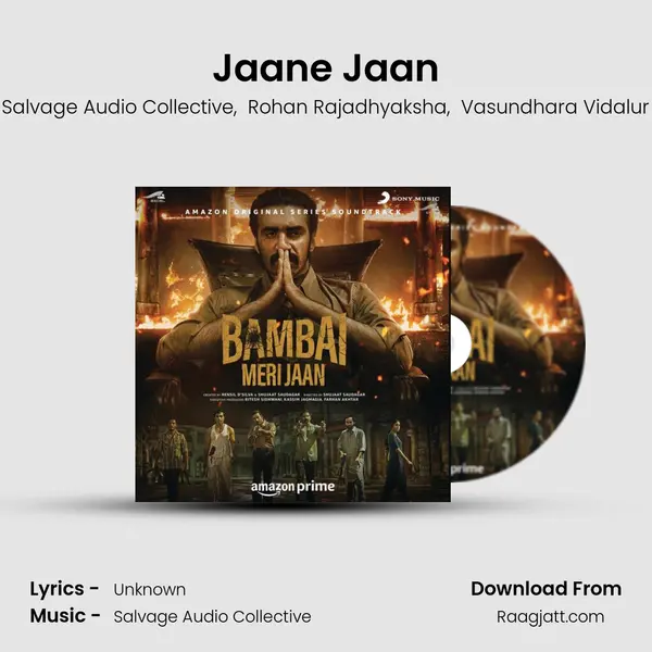 Jaane Jaan - Salvage Audio Collective album cover 