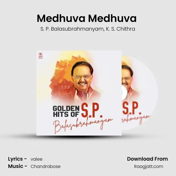 Medhuva Medhuva (From Anna Nagar Modul Theru) mp3 song