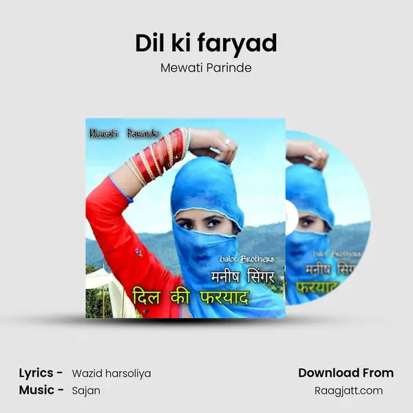 Dil ki faryad - Mewati Parinde album cover 