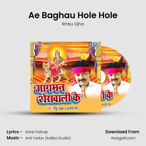 Ae Baghau Hole Hole - Rinku Ojha album cover 