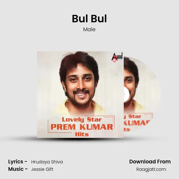 Bul Bul mp3 song