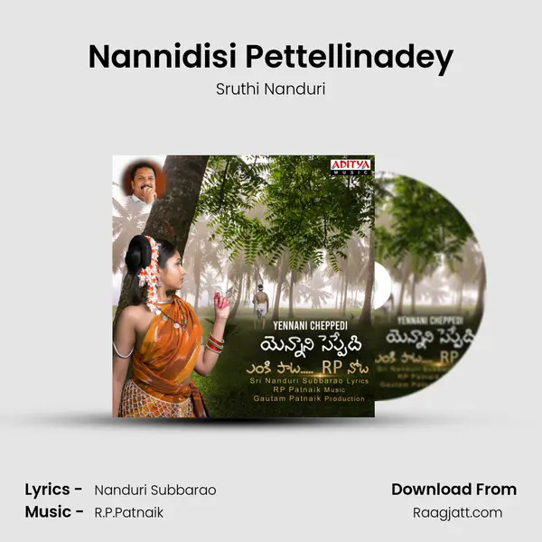 Nannidisi Pettellinadey - Sruthi Nanduri album cover 