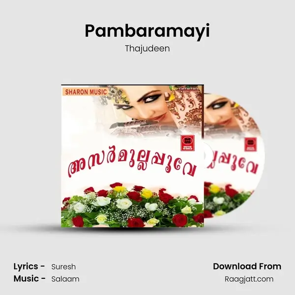 Pambaramayi mp3 song