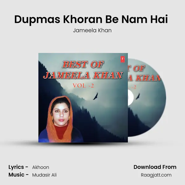 Dupmas Khoran Be Nam Hai (From Jiger) mp3 song