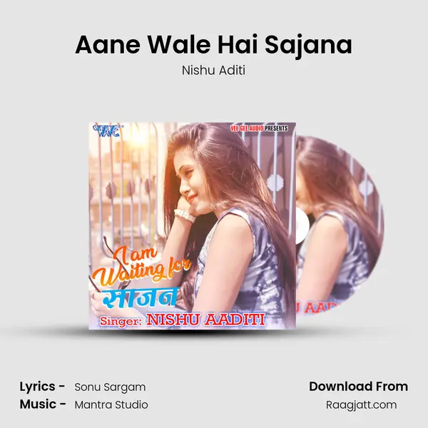 Aane Wale Hai Sajana - Nishu Aditi album cover 