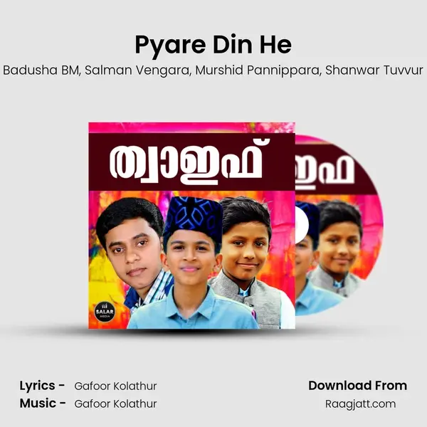 Pyare Din He - Badusha BM album cover 